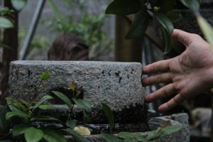 nhung chiec coi da xoay tron mai 10