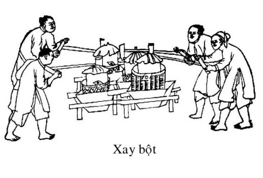xay bot
