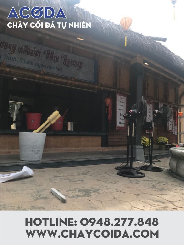 chay coi da lang chai ha long 9